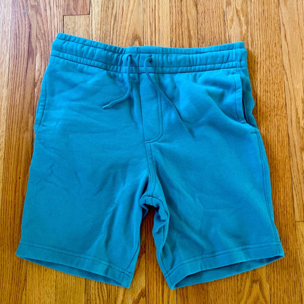 Torquise Goodfellow & Co Shorts